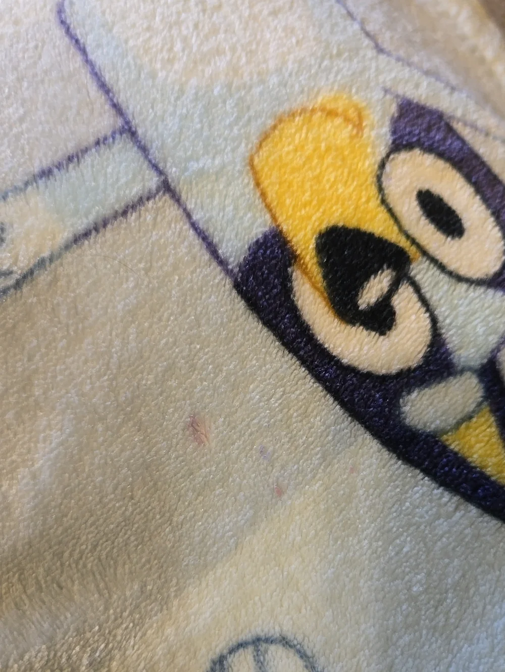 45x60 Bluey & Bingo Plush Blanket